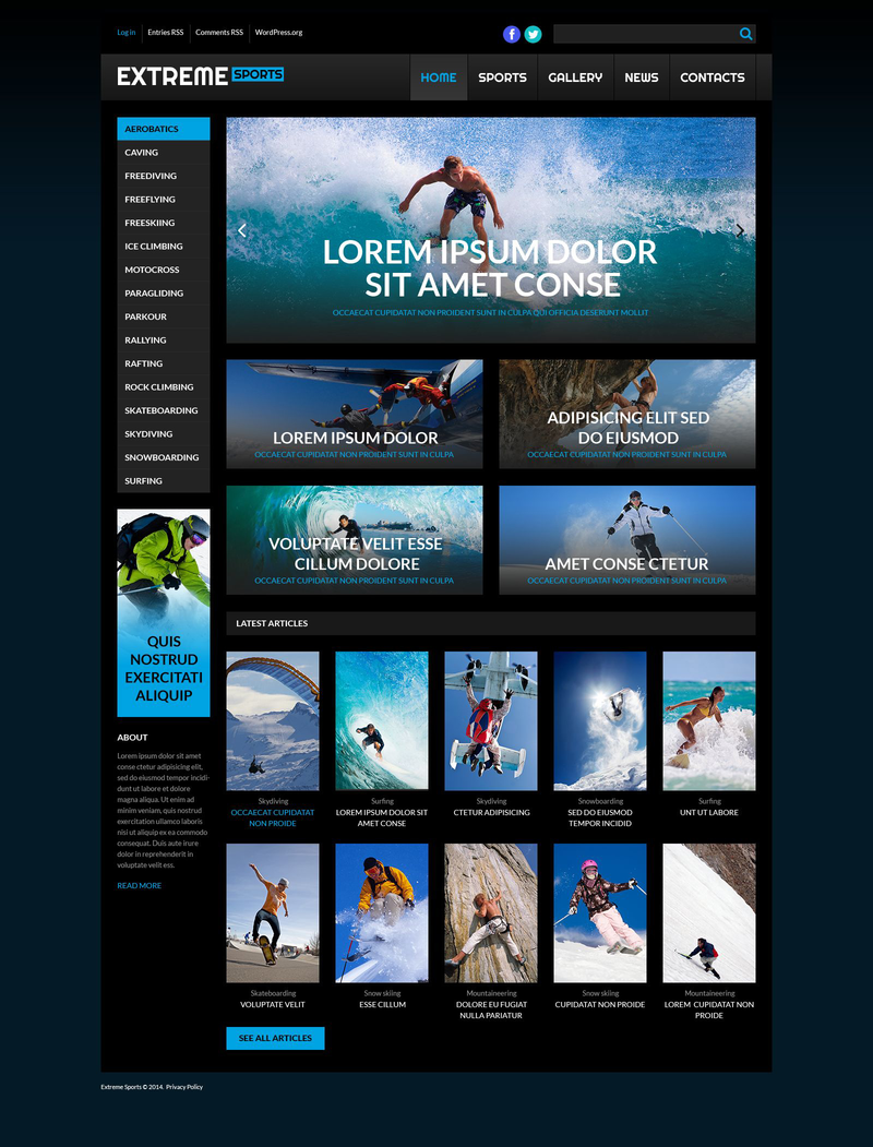 WordPress - WP3049