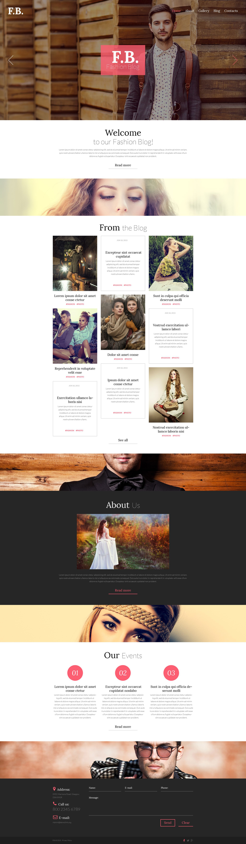 WordPress - WP3096