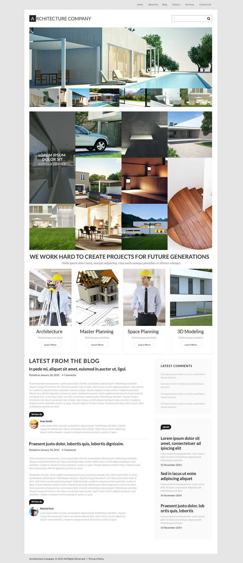 WordPress - WP3134