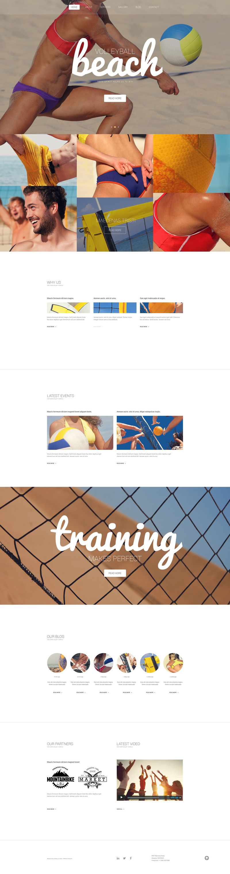 WordPress - WP3207