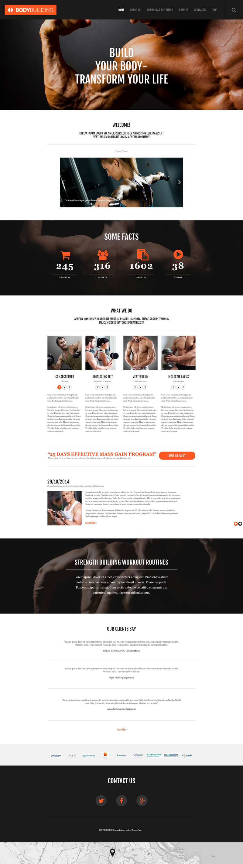 WordPress - WP3242