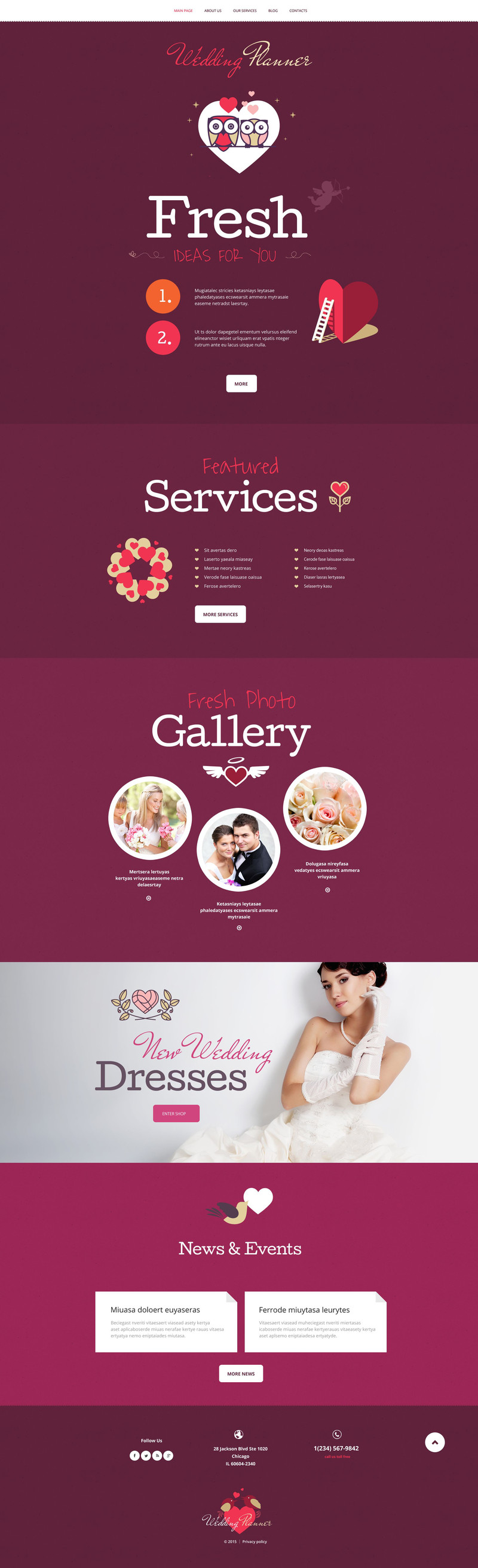 WordPress - WP3249