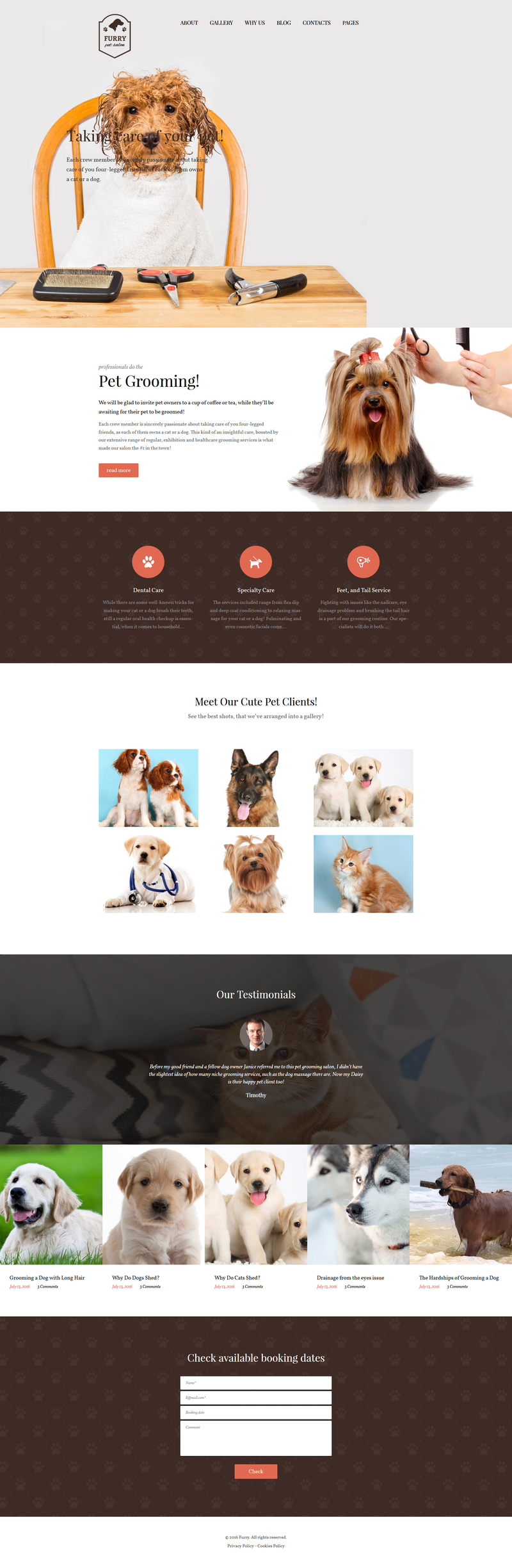 WordPress - WP3561
