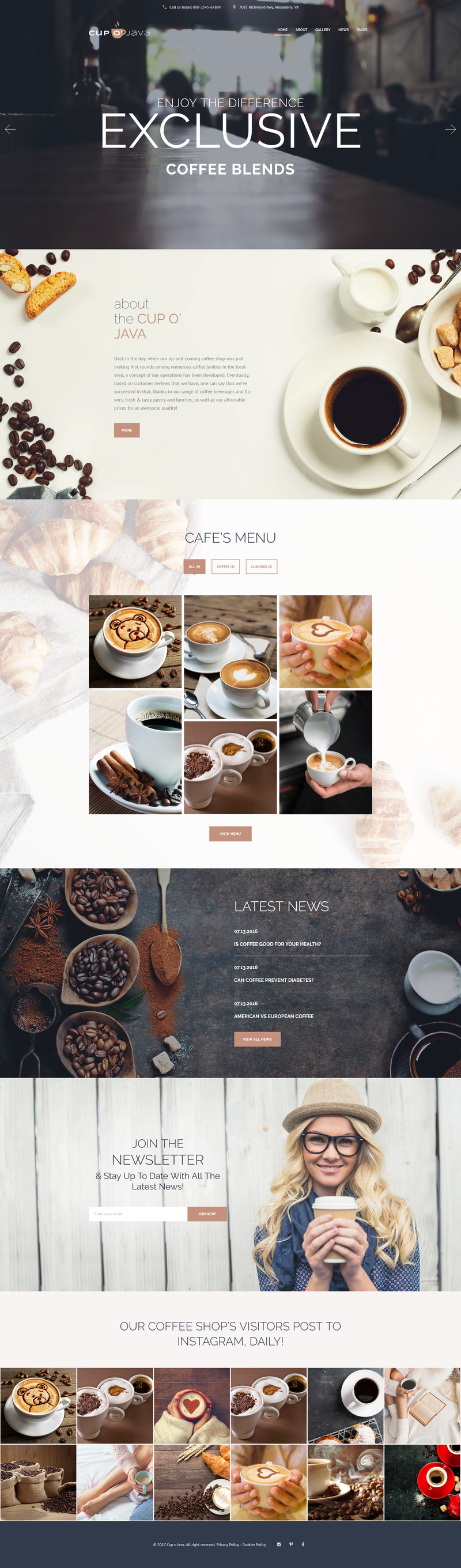 WordPress - WP3623
