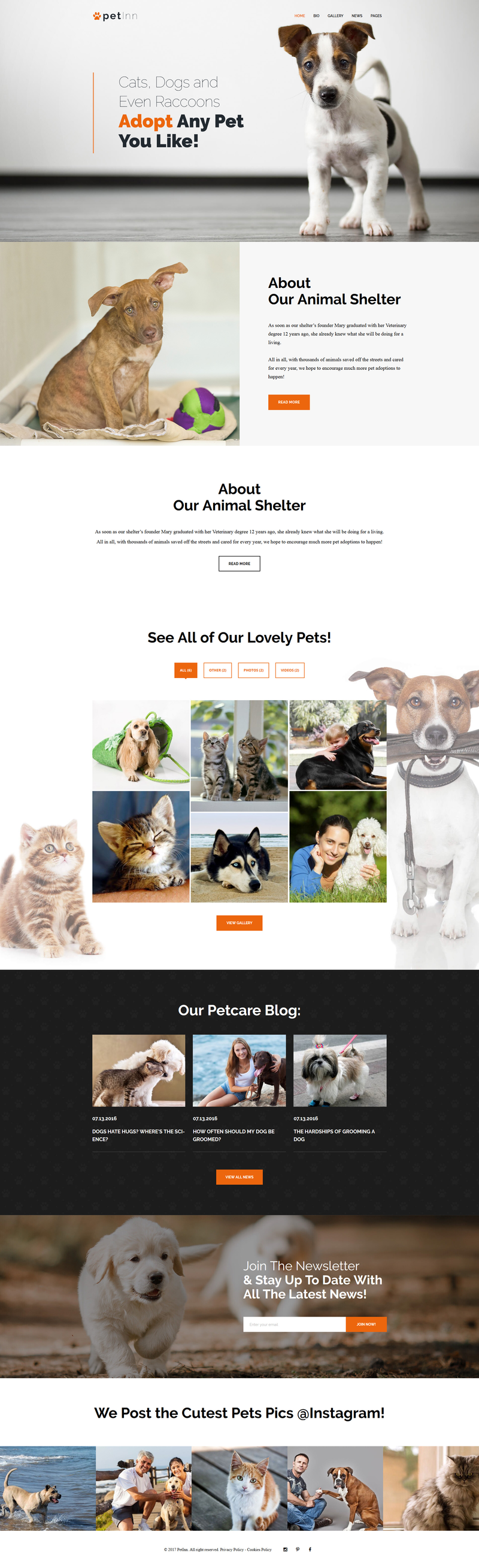 WordPress - WP3624