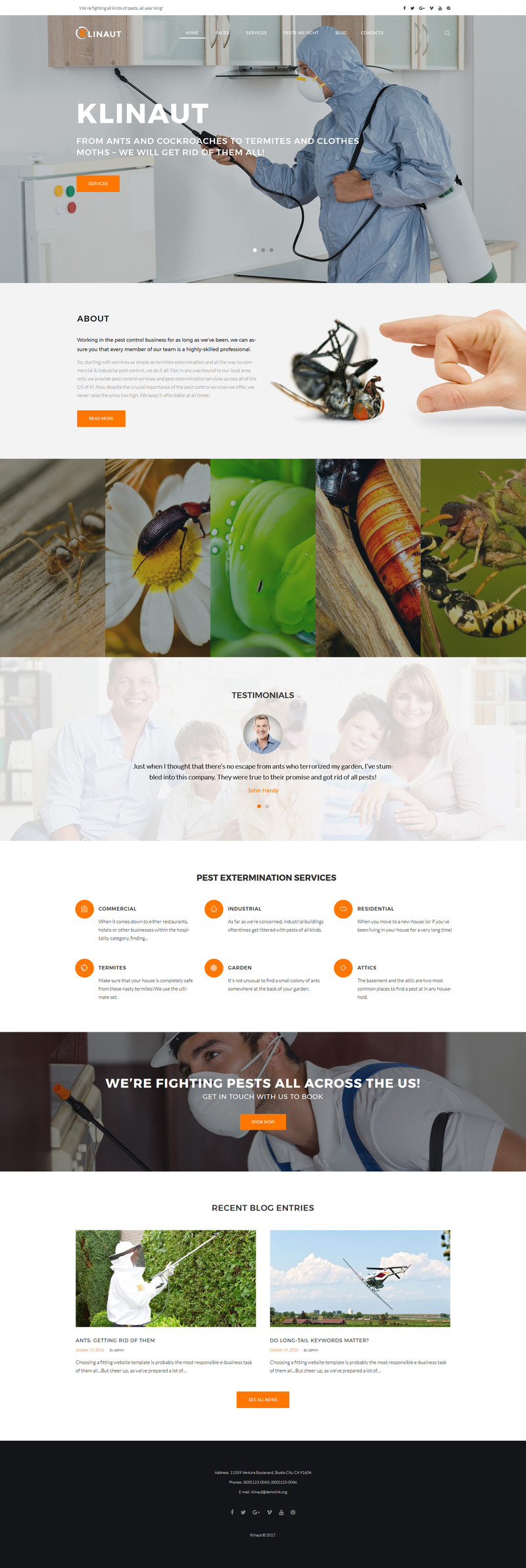 WordPress - WP3668
