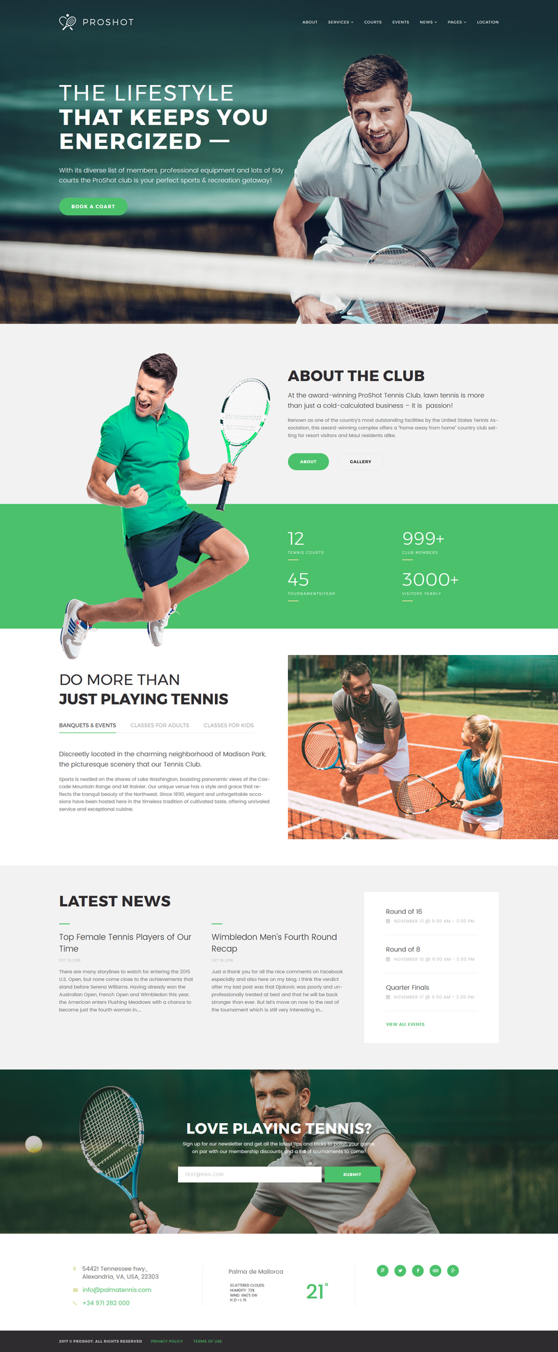 WordPress - WP3696
