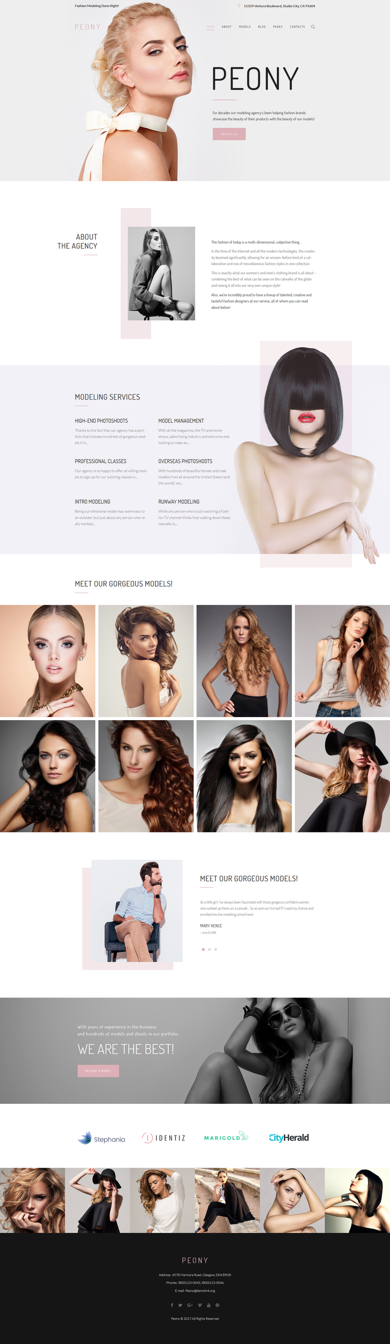 WordPress - WP3700