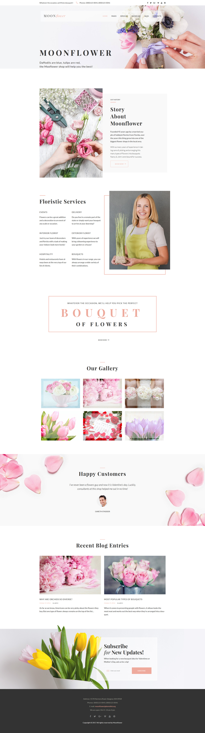 WordPress - WP3736