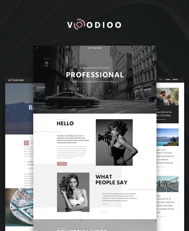 WordPress - WP3767