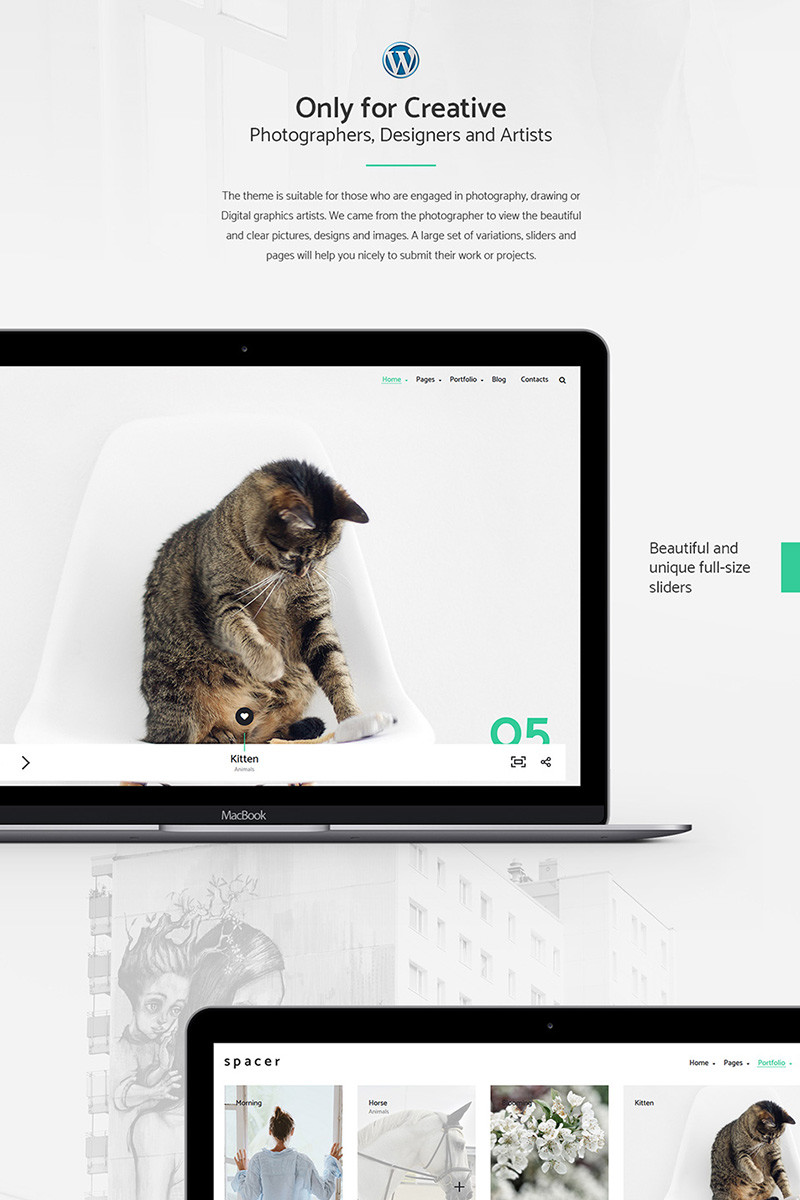 WordPress - WP3771