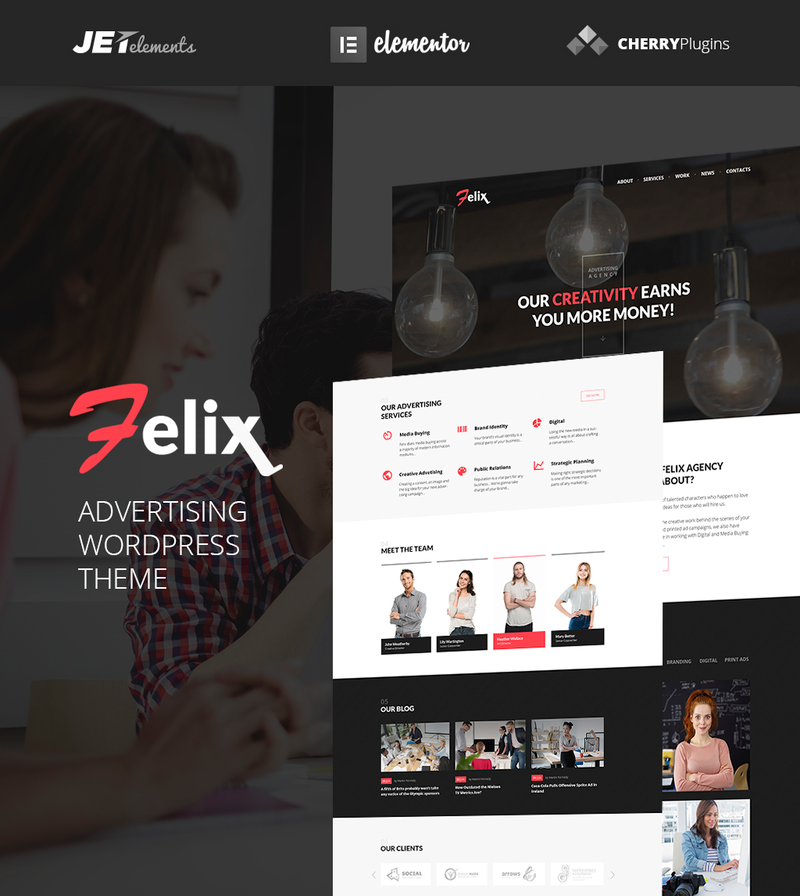 WordPress - WP3815