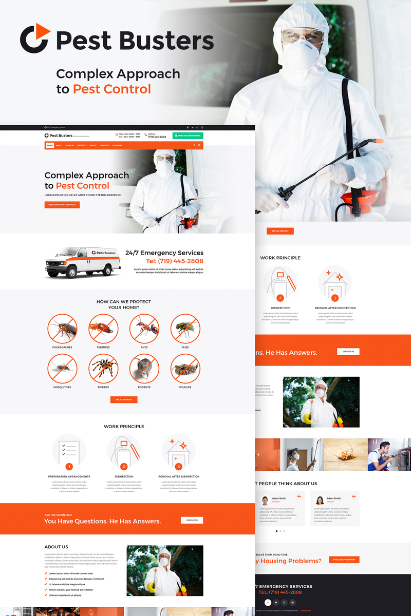 WordPress - WP3858