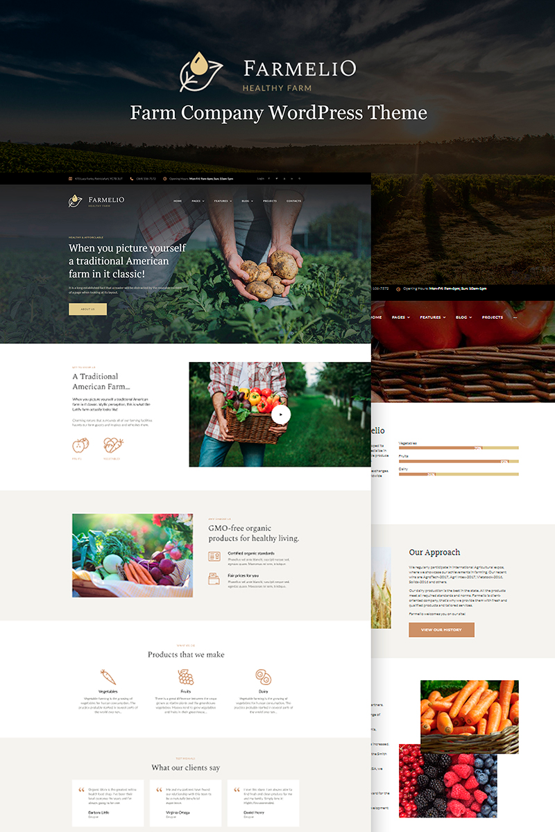 WordPress - WP3999