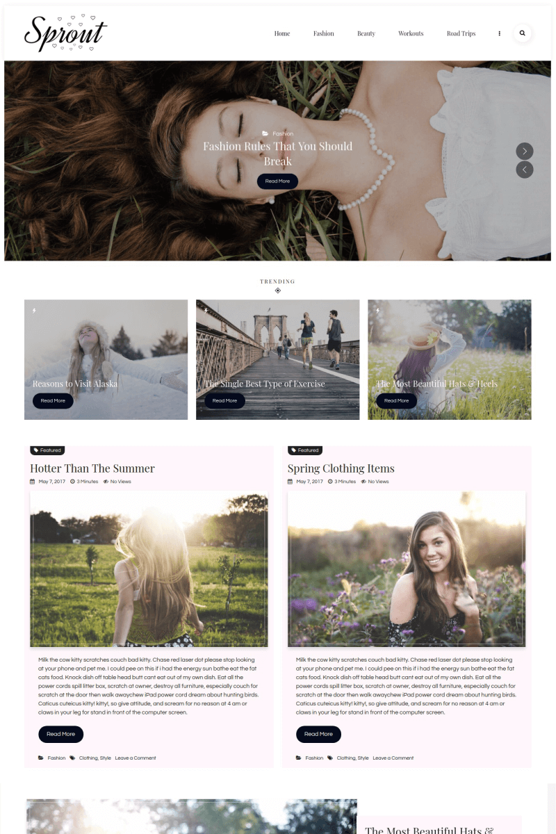 WordPress - WP4033