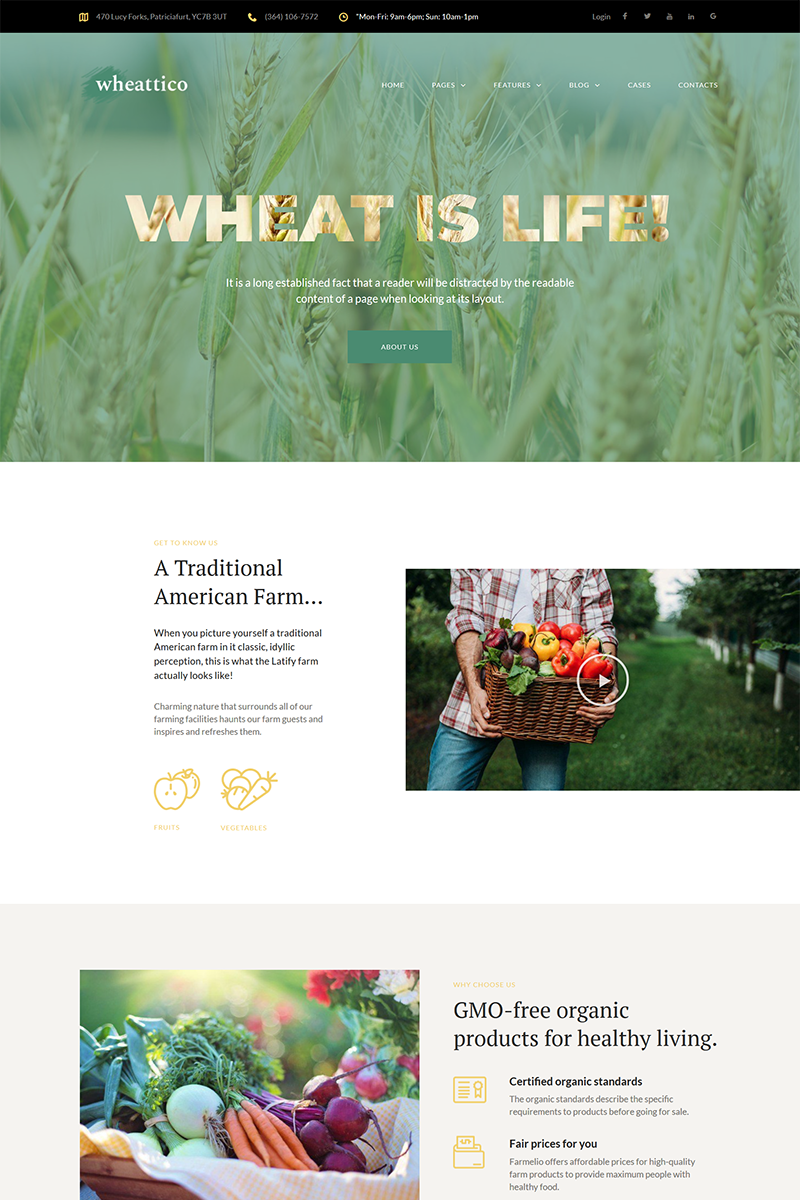 WordPress - WP4093