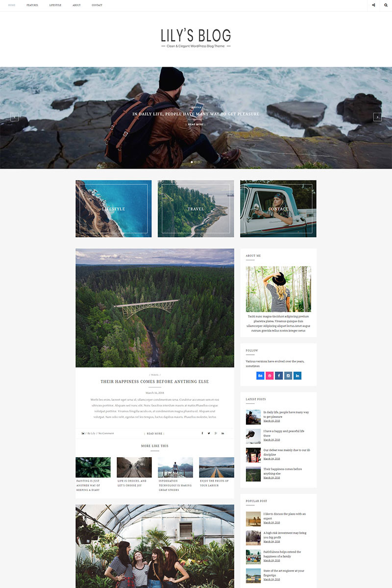 WordPress - WP4106