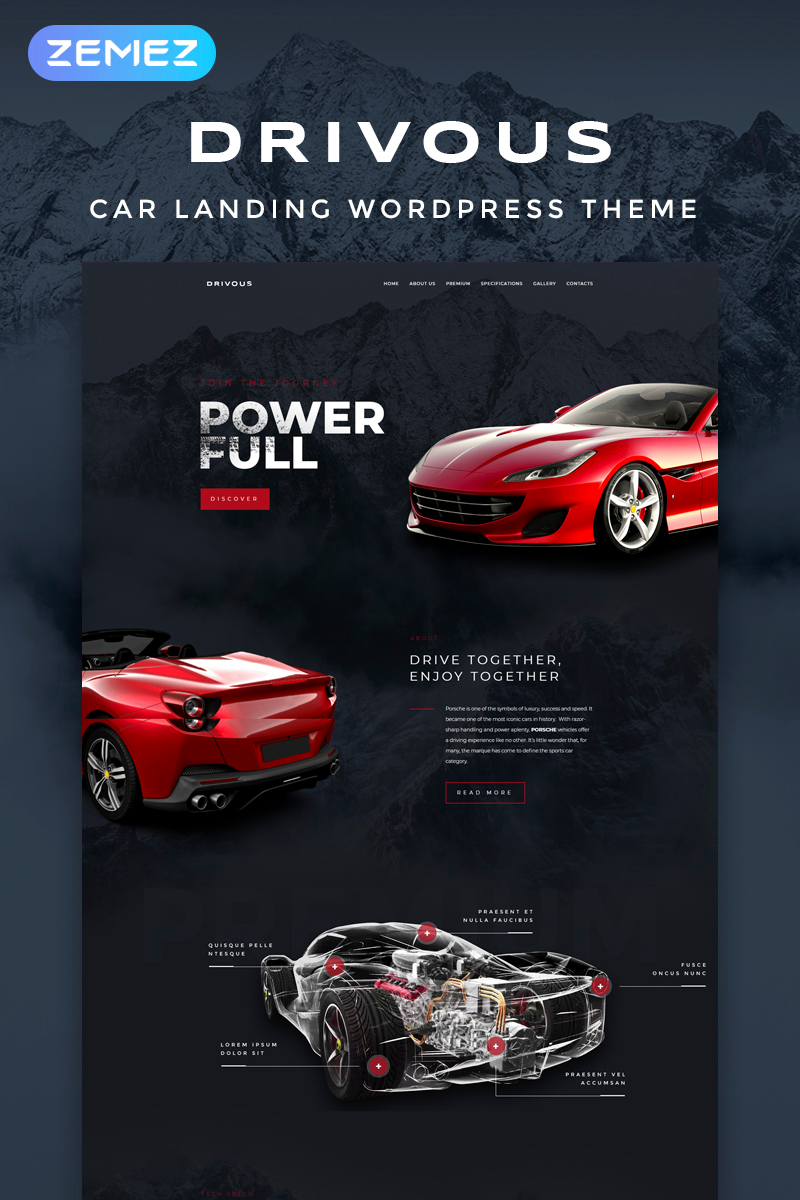 WordPress - WP4217