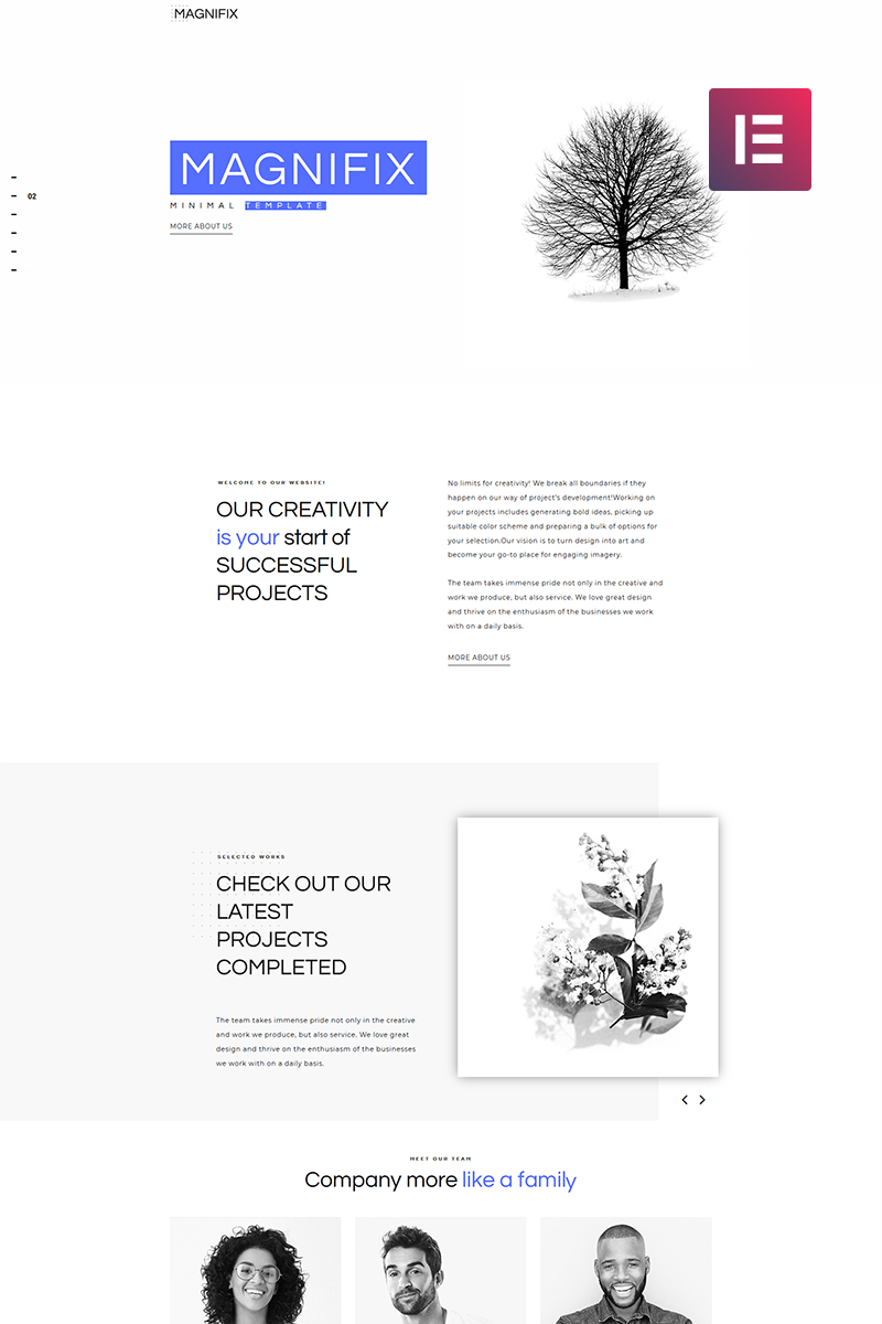 WordPress - WP4269