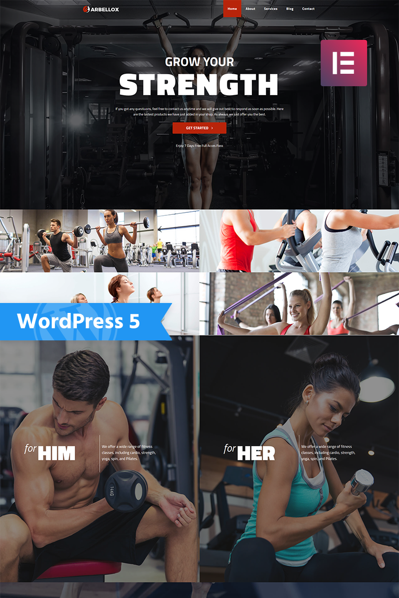 WordPress - WP4479