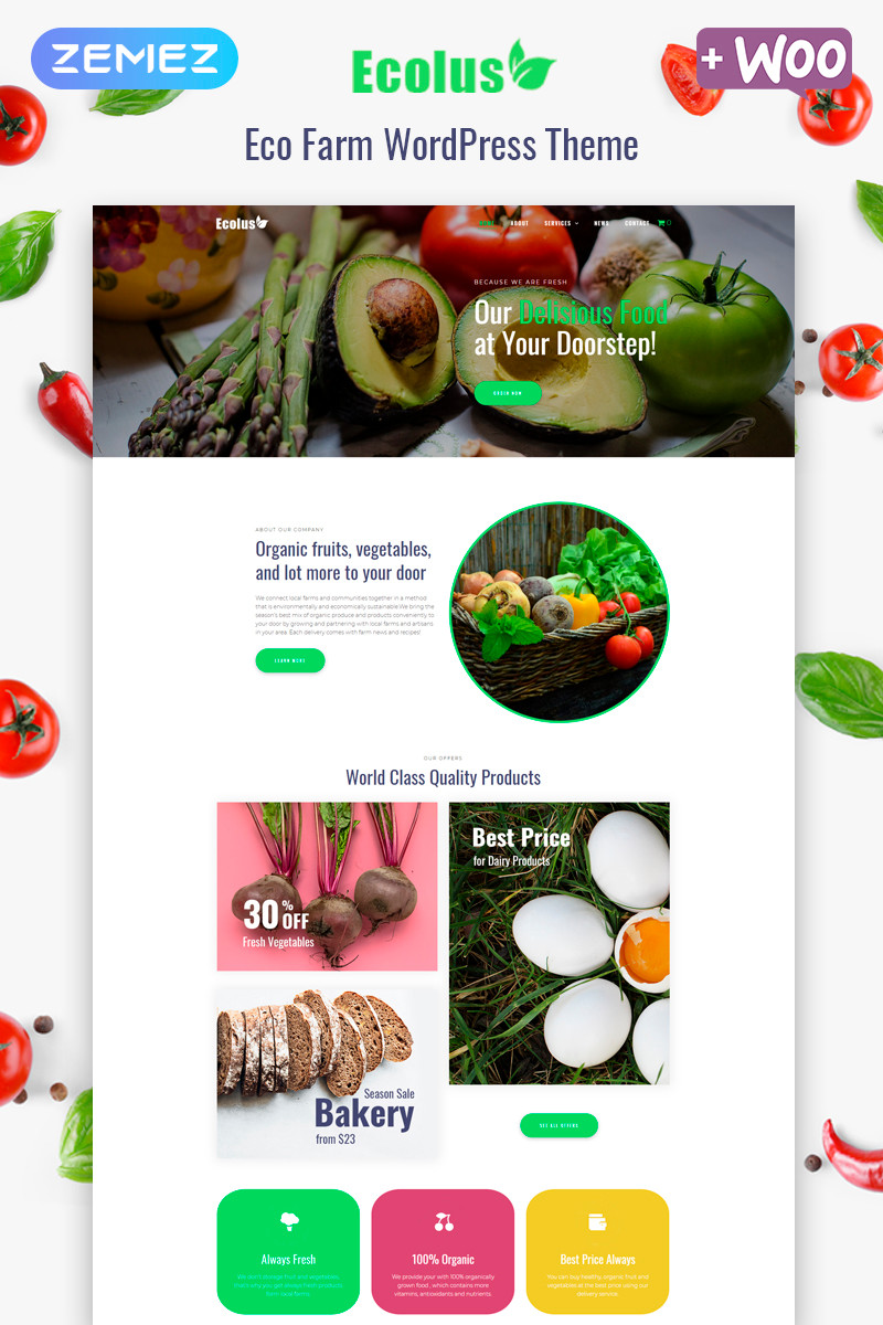 WordPress - WP4536