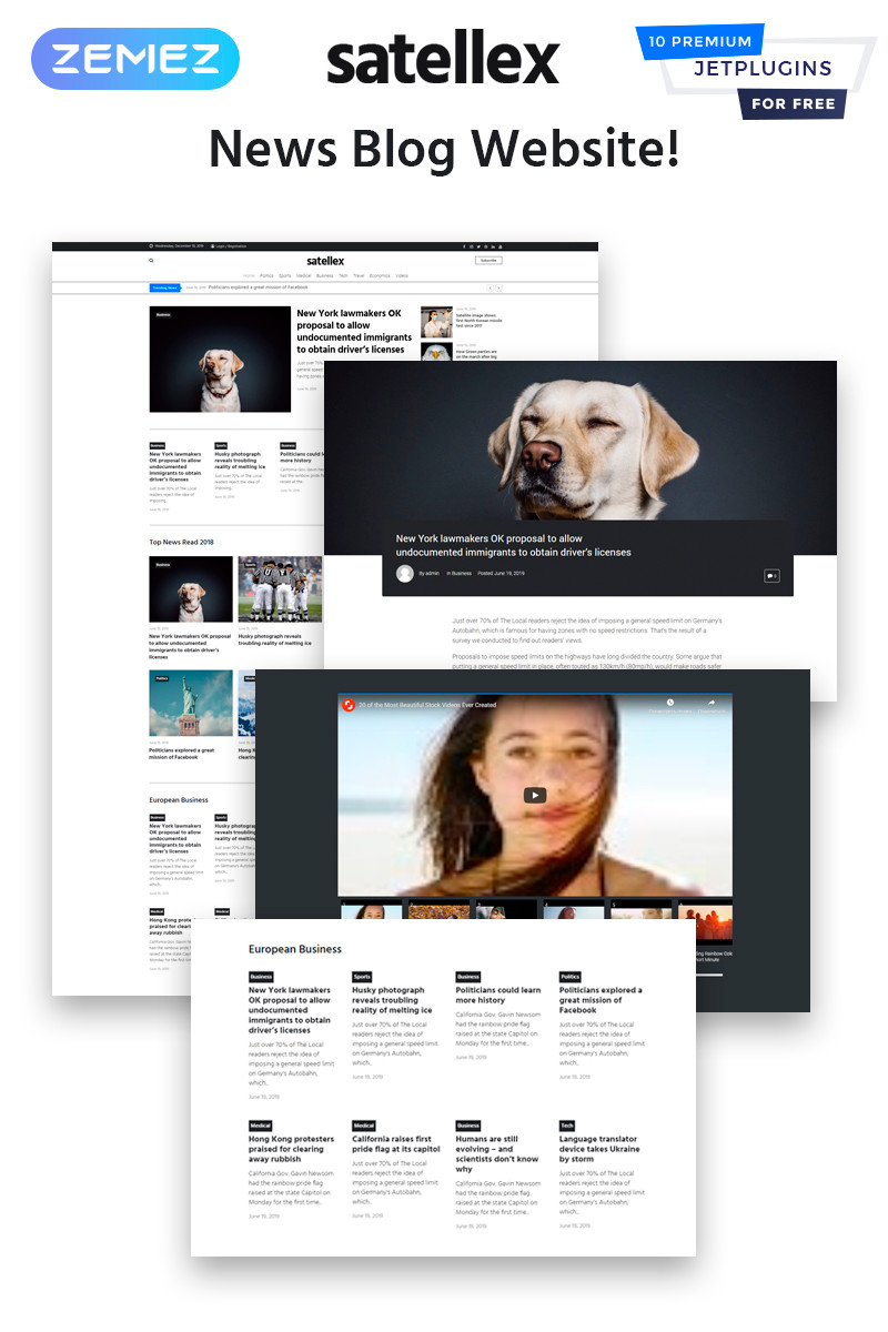 WordPress - WP4616