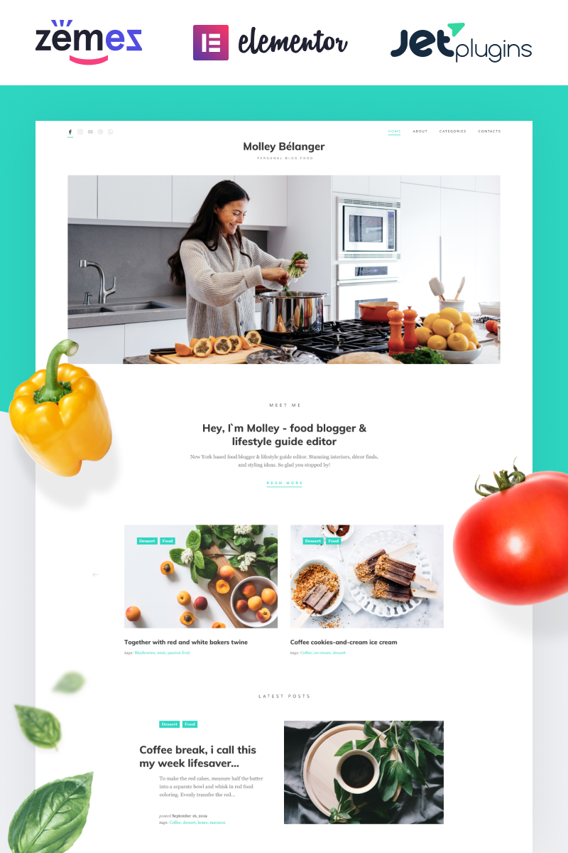 WordPress - WP4648