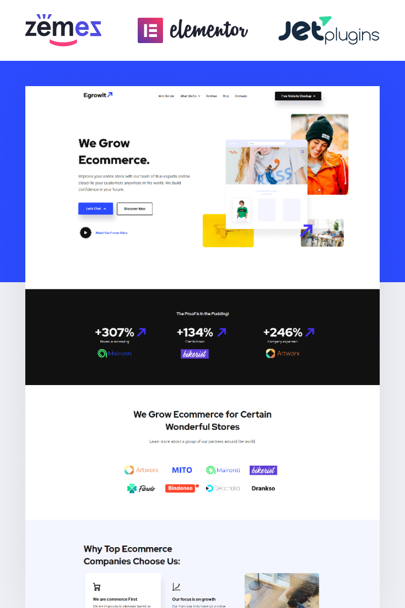 WordPress - WP4649
