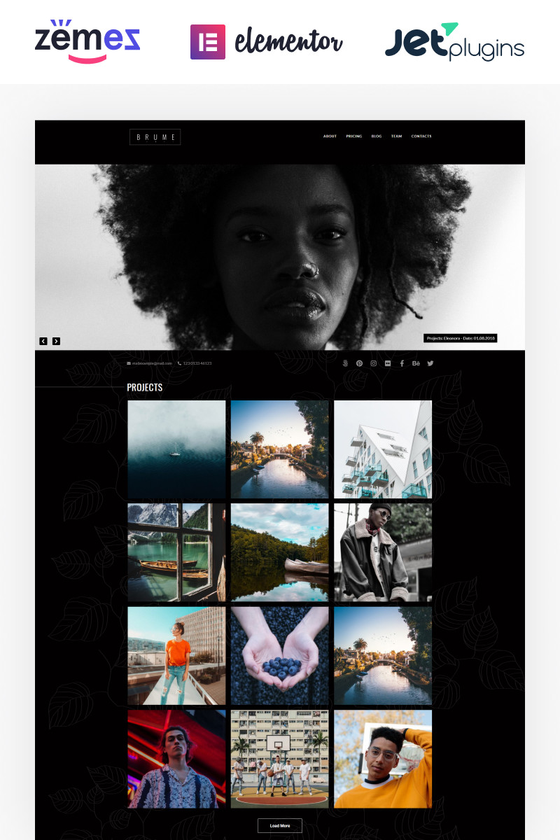 WordPress - WP4656