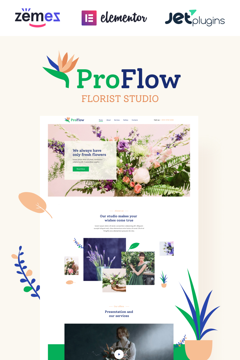 WordPress - WP4709