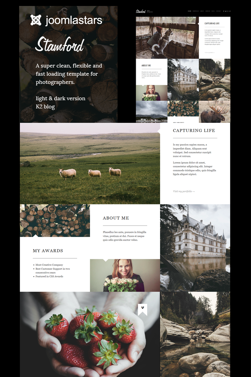Joomla - J3174