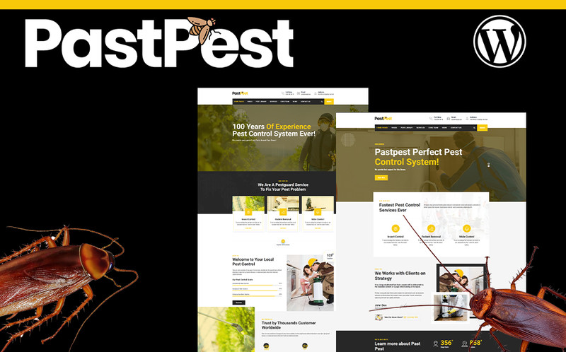 WordPress - WP16594