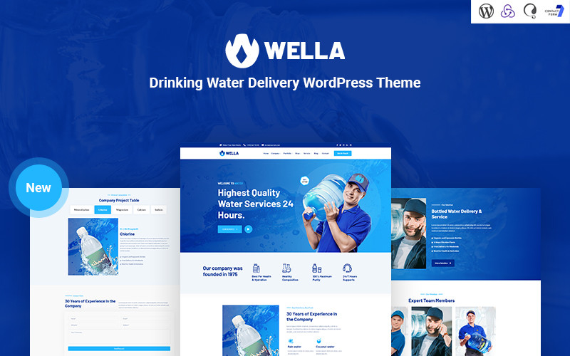 WordPress - WP17374