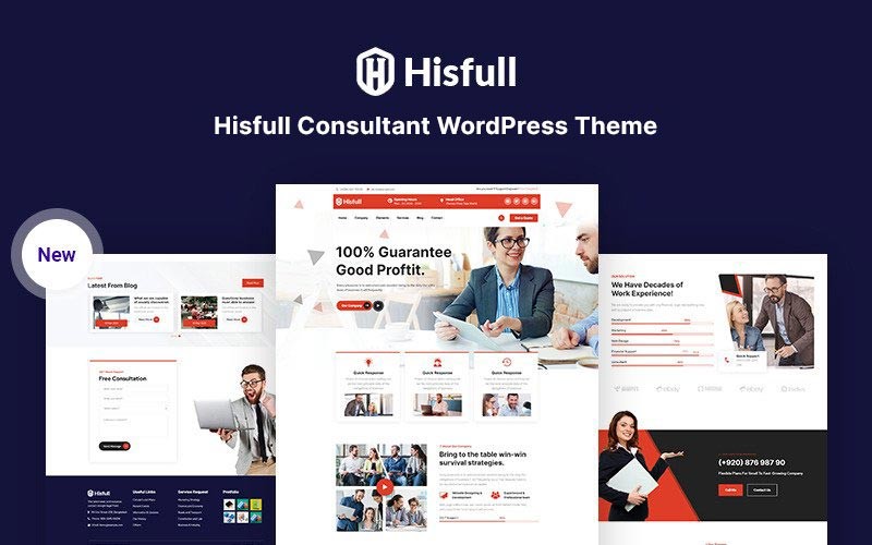 WordPress - WP17478