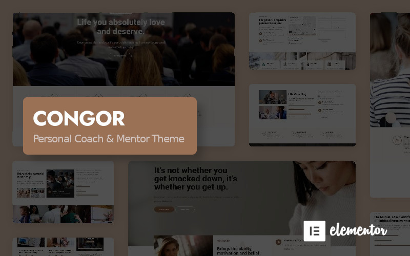 WordPress - WP17590