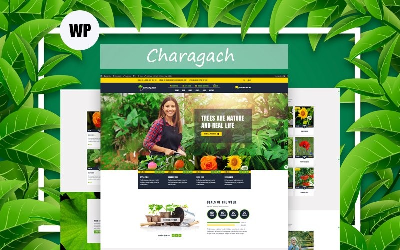 WordPress WooCommerce - W1210