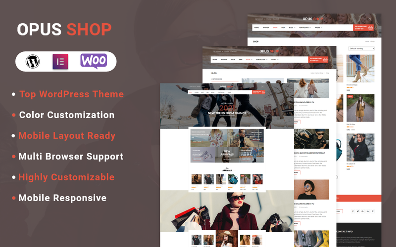 WordPress WooCommerce - W1233