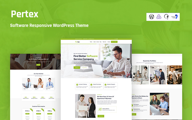 WordPress - WP17725