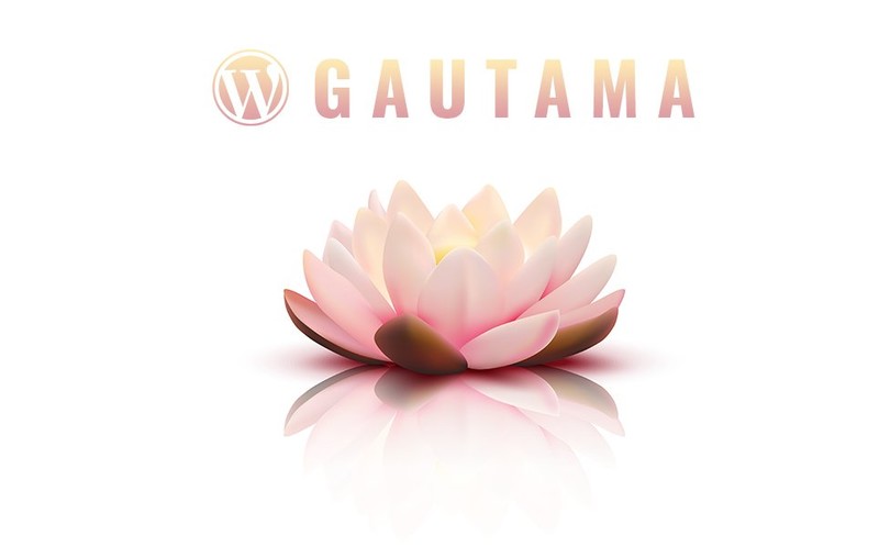 WordPress - WP17757