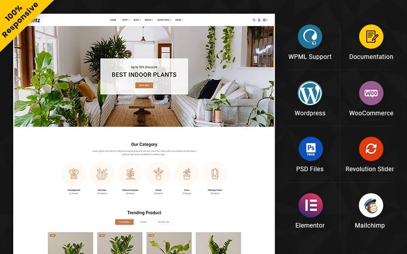 WordPress WooCommerce - W1375