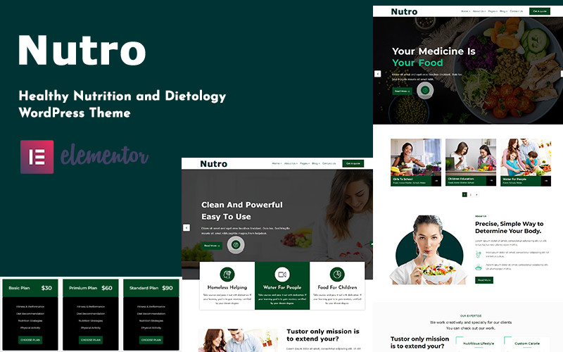 WordPress - WP18095