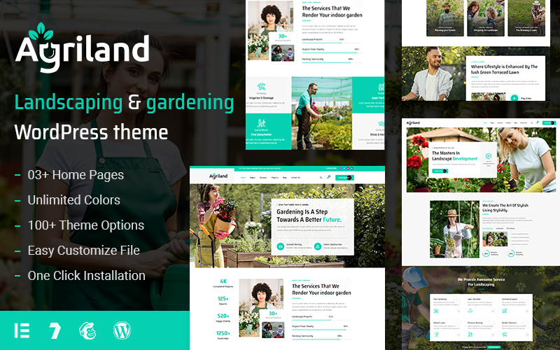 WordPress - WP18274