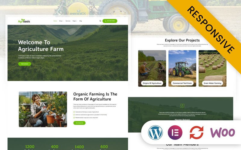WordPress - WP18461