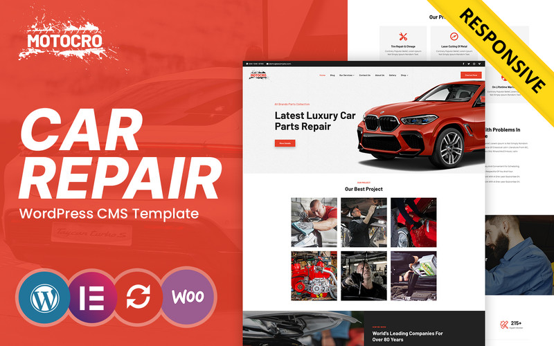 WordPress - WP18694