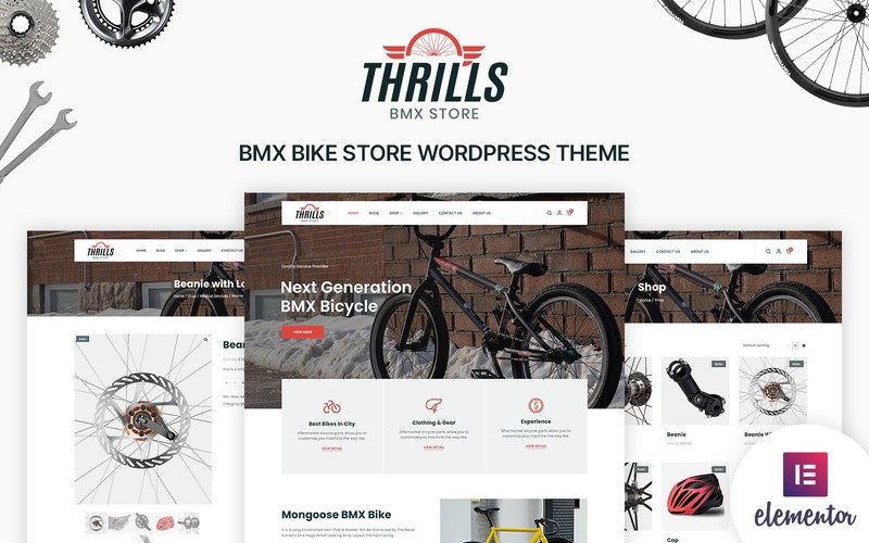 WordPress - WP18765