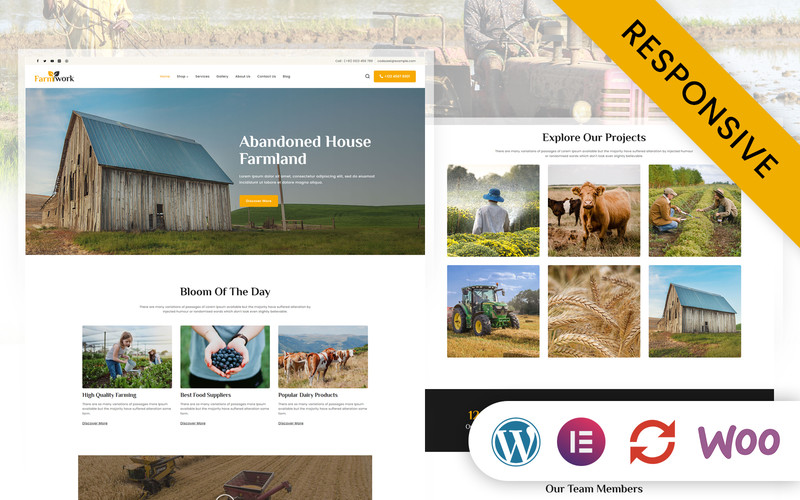 WordPress - WP18802