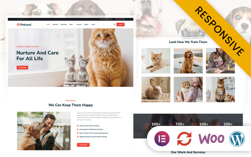 WordPress - WP18816
