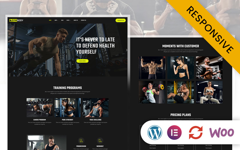 WordPress - WP18824