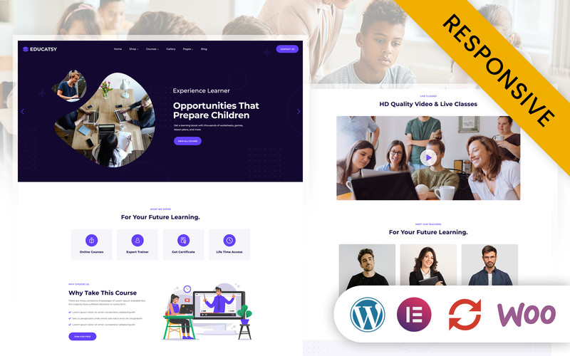WordPress - WP18852