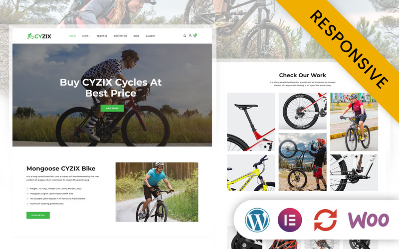 WordPress - WP18873